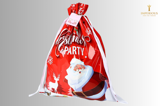 21-Piece Christmas Gift Bag Set