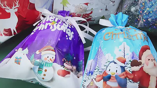 21-Piece Christmas Gift Bag Set